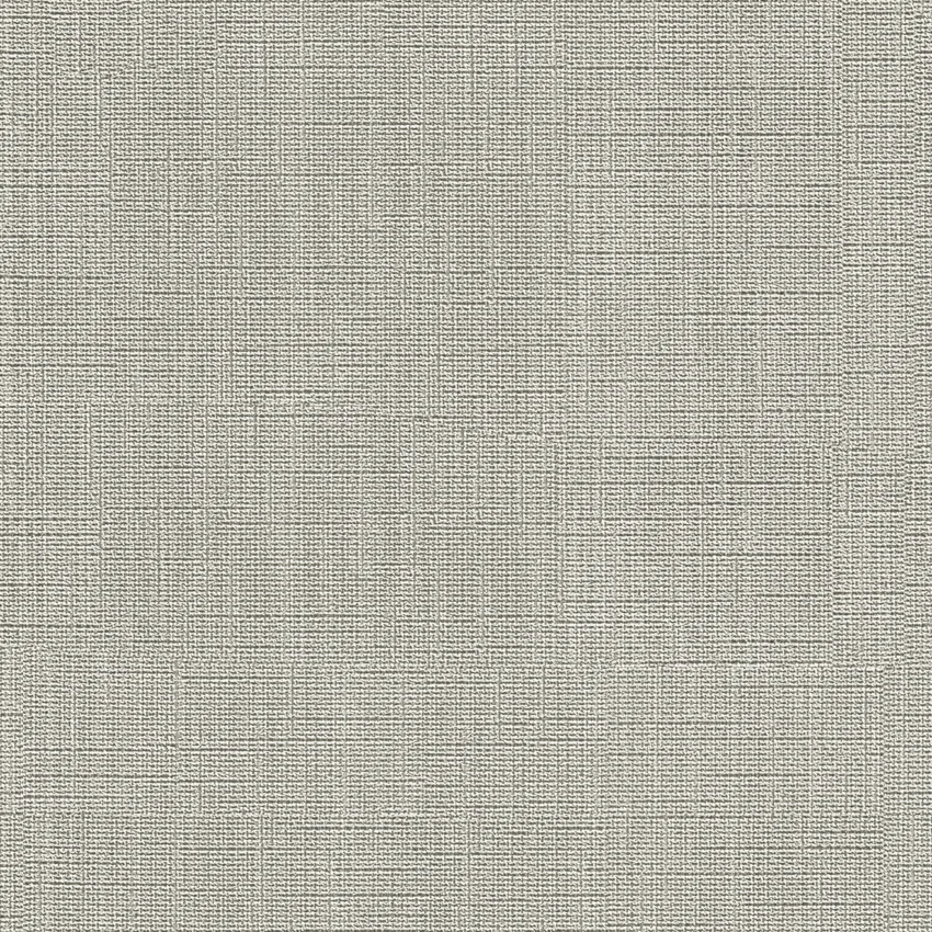 Фактура BJAX6009